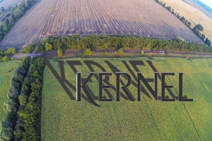 Кернел збільшив земельний банк до 530 тис. га: угоди, фінанси 2026