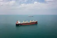 Атаки на Чорному морі підривають агроекспорт України та наближають конфлікт до НАТО