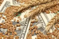 НБУ продовжив строки розрахунків для агроекспорту до 150 днів