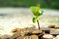 Капітальні інвестиції в Україні 2025: зростання на 20,3% та ключові сектори