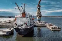 Експорт українського зерна: Проблеми логістики, Дунай та ціни 2026