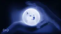 Dogecoin ETF встановив рекорд з надходженнями $2,89 млн після Bitwise