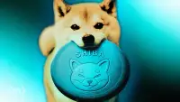 Rakuten Wallet випустить фізичні пам'ятні монети Shiba Inu
