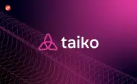 Taiko постраждав від злому на $1,7 млн: порушена верифікація мережі