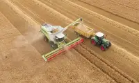 Аграрний Експорт України у Липні 2026 Скоротився на 23,4%
