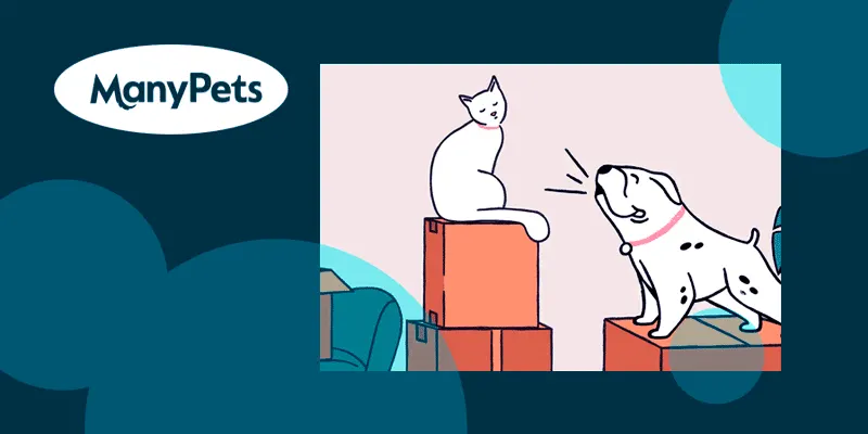 ManyPets запустив плагін у ChatGPT для продажу страхування домашніх тварин