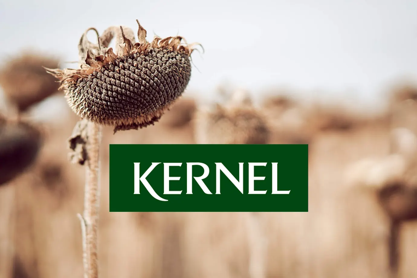 Андрій Веревський: Делістинг Kernel та викуп акцій за 19.93 PLN