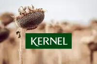 Андрій Веревський: Делістинг Kernel та викуп акцій за 19.93 PLN
