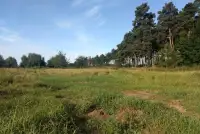 ФГВФО: 35 га землі РВС Банку на Київщині виставлять на торги