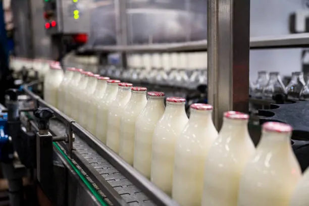 Експорт молочної продукції України зріс у липні 2026: деталі та прогнози