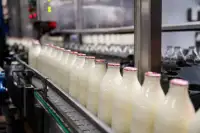 Експорт молочної продукції України зріс у липні 2026: деталі та прогнози