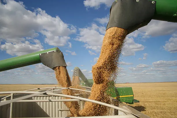 Україна імпортувала агропродукції на $4,7 млрд у I півріччі 2026