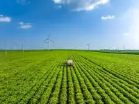 Млини України скоротилися на 31% під час повномасштабної війни
