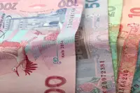 Схема ухилення від податків на Волині: 42 будинки продано як ділянки
