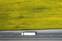 Allseeds зупинила роботу в Україні 2026: причини та наслідки
