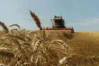 Компенсації аграріям прифронтових зон 2026: до 10 460 грн/га
