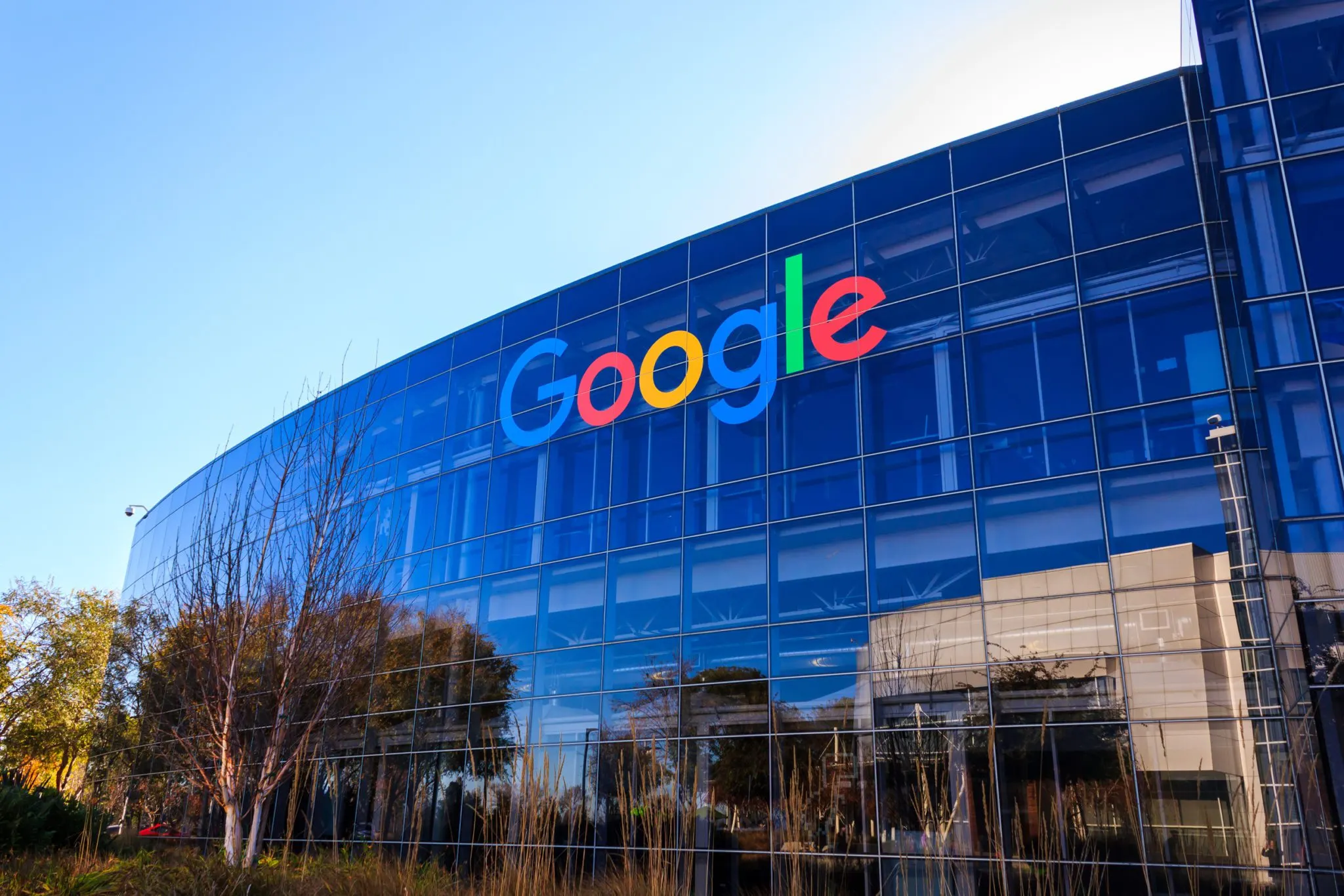 Google інвестував $5 млн у "Обрій": AI-платформа для ринку праці України