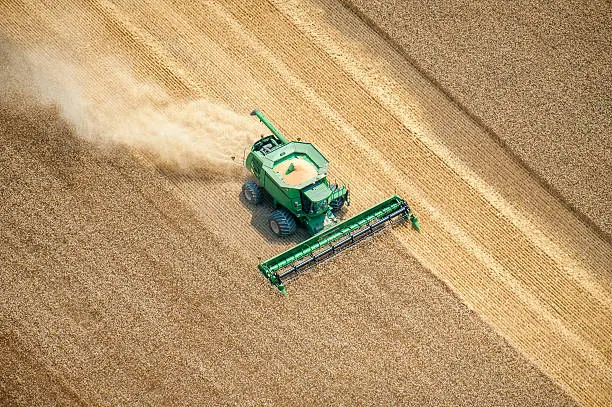 USDA підвищив прогноз експорту пшениці України на 2026/27 МР