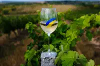 10 Найперспективніших Виноробень України 2026: Рейтинг Крафтових Виробників